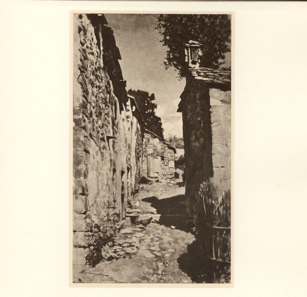 fronte