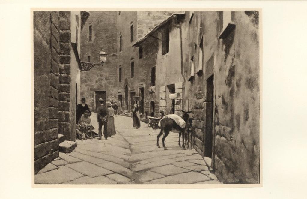 fronte