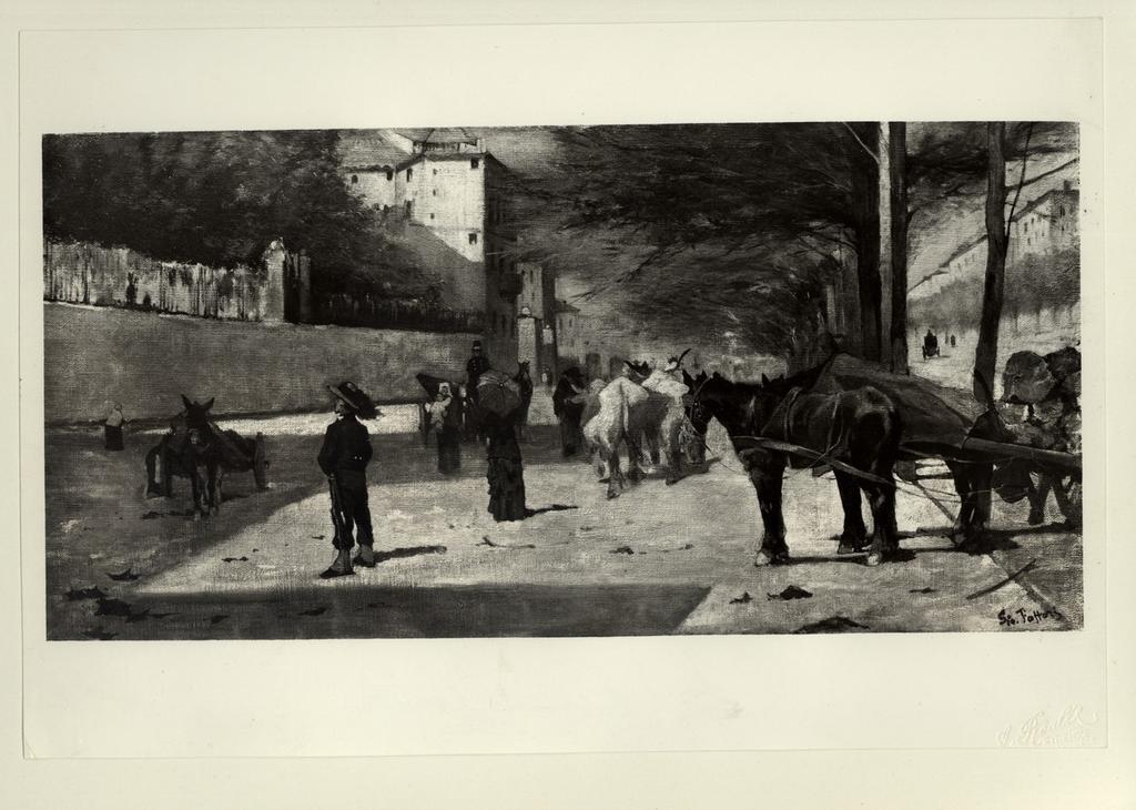 Foto Reali , fronte