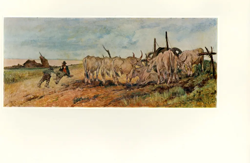 Fattori, Giovanni - - , fronte