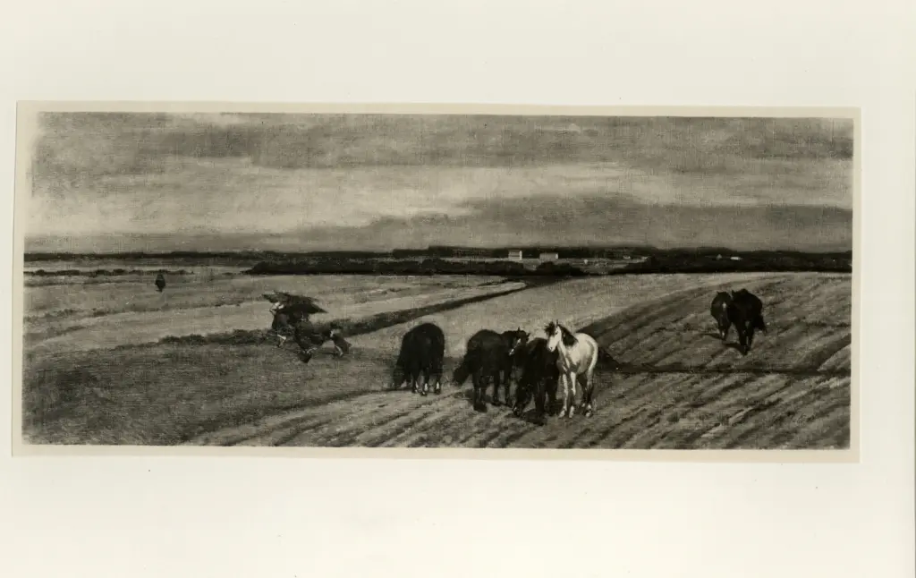 Fattori, Giovanni , Animali in campagna