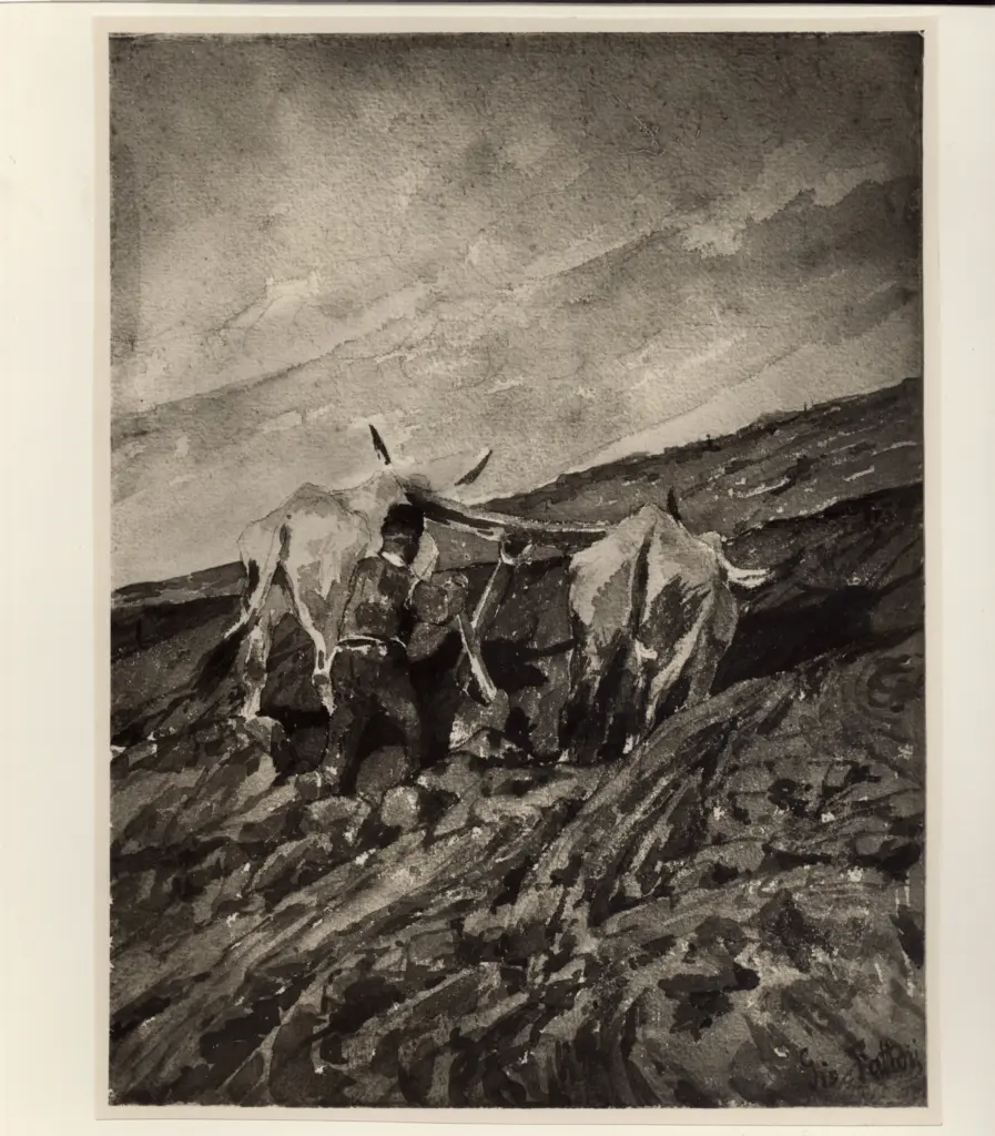 Fattori, Giovanni , Buoi