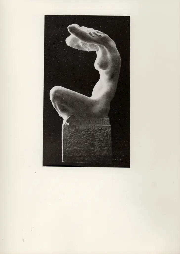 Anonimo, Anonimo , fronte