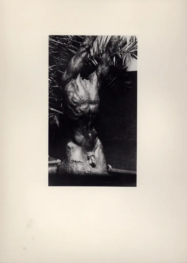 Anonimo, Anonimo , fronte