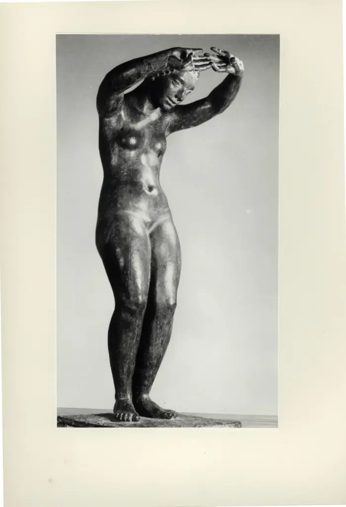 Anonimo, Anonimo , fronte