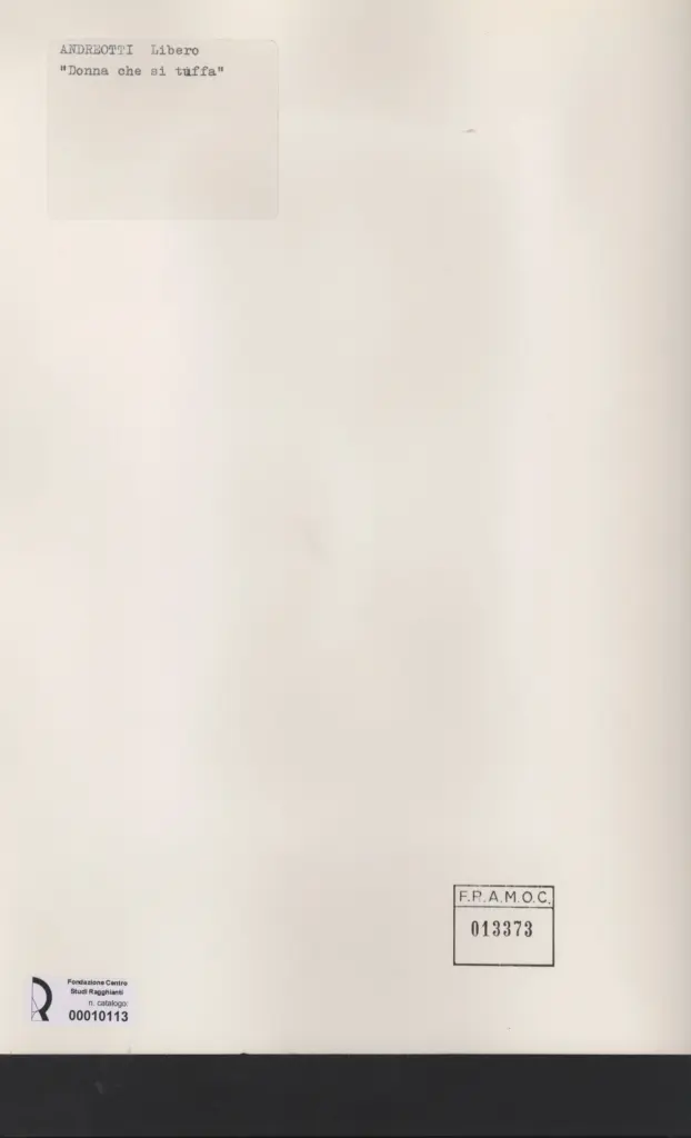 Anonimo, Anonimo , retro