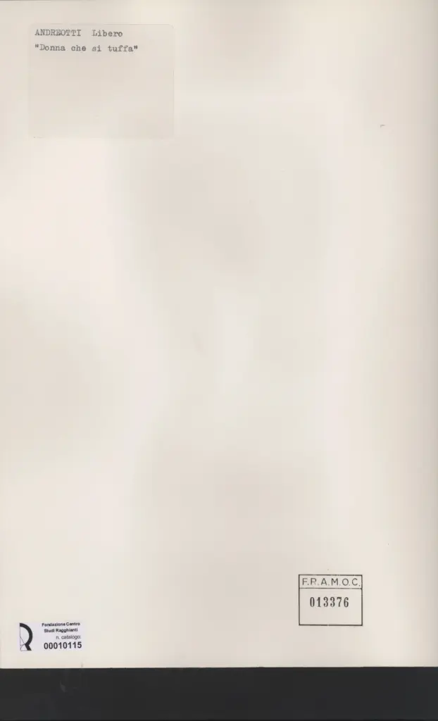 Anonimo, Anonimo , retro