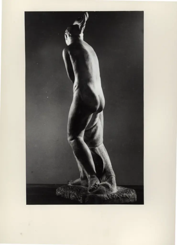 Anonimo, Anonimo , fronte