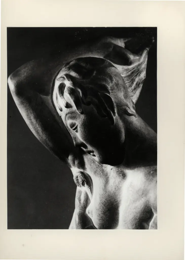 Anonimo, Anonimo , fronte