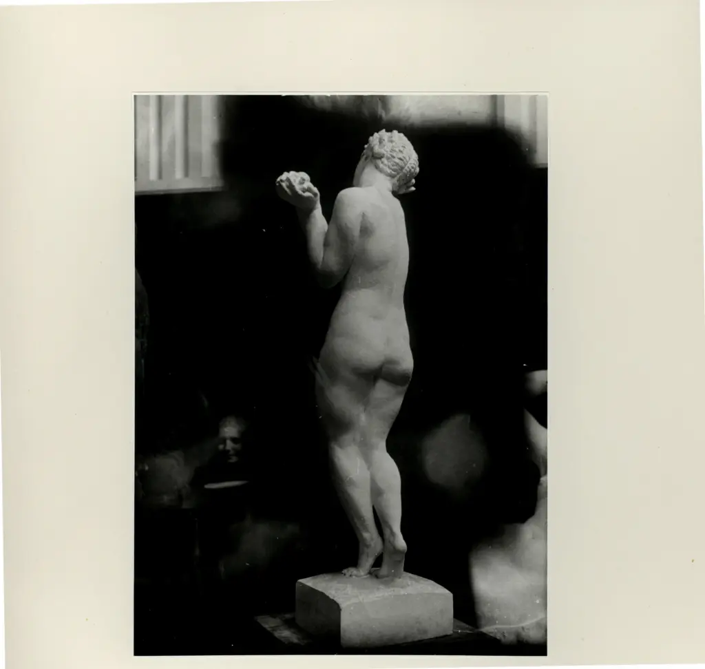 Anonimo, Anonimo , fronte