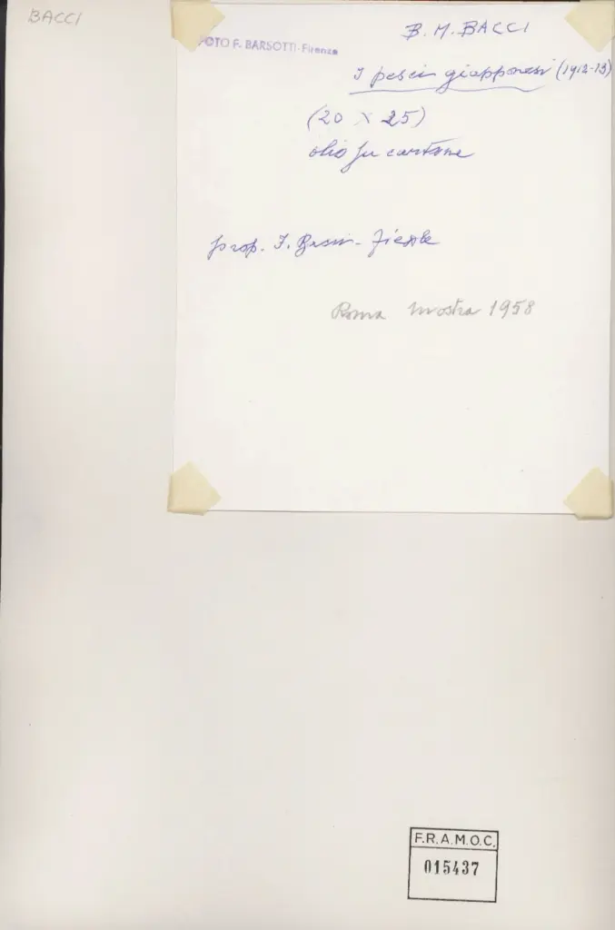 Foto Barsotti , retro