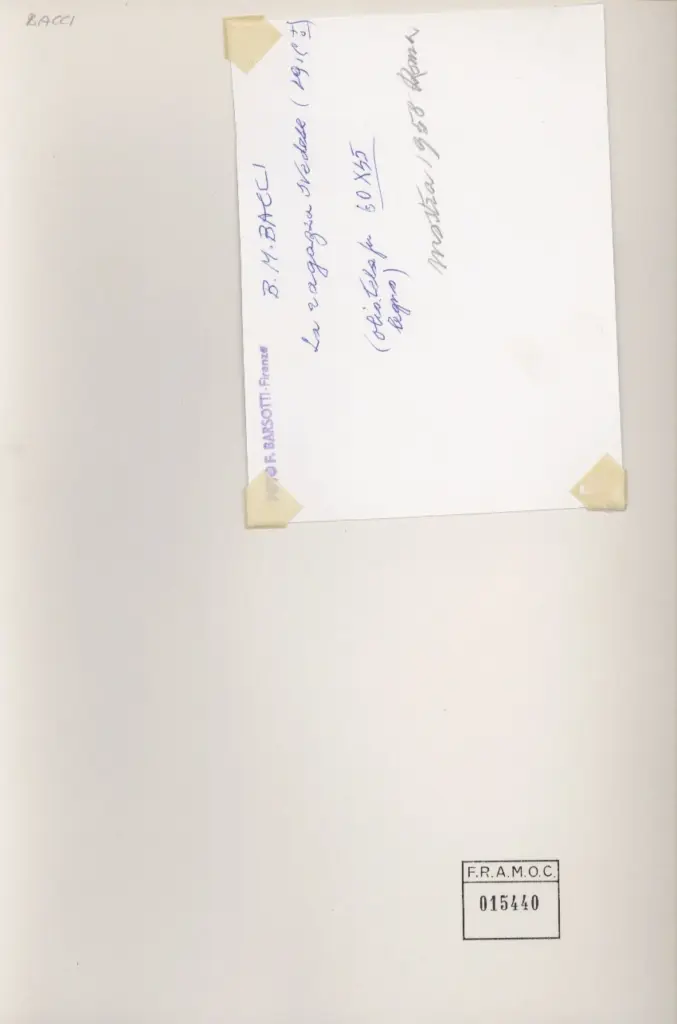 Foto Barsotti , retro