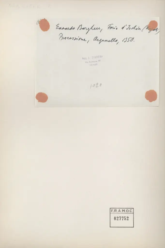 Anonimo, Anonimo , retro