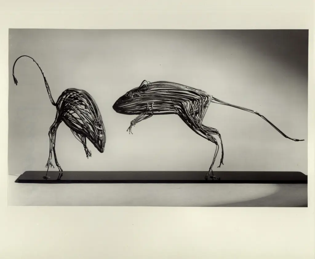 Foto Fini , Berretton - sec. XX - Topi