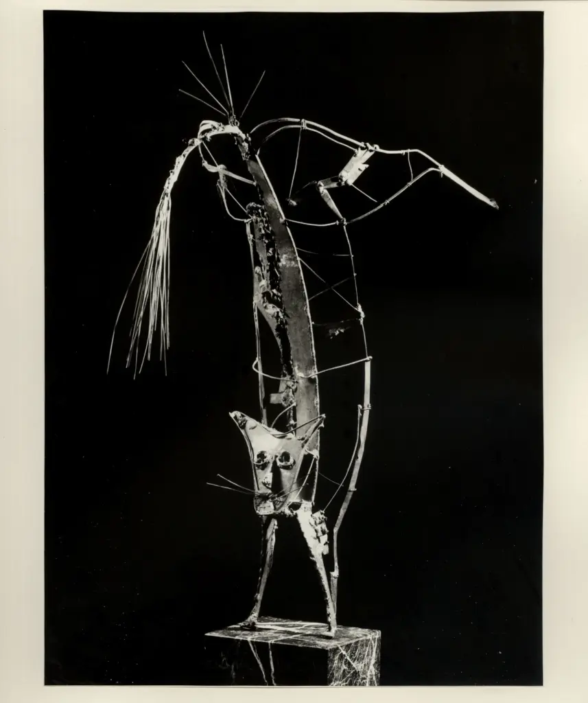 Foto Fini , Berretton - sec. XX - Gatto sulle zampe anteriori , fronte