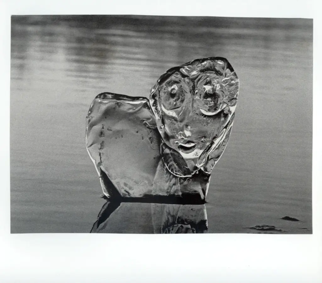 Anonimo , Bianconi, Fulvio - sec. XX - Ritratto , fronte