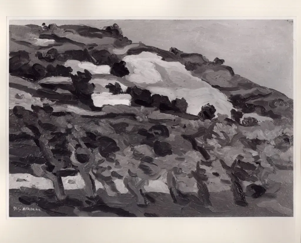 Birolli, Renato - sec. XX -