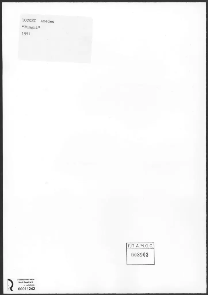 Anonimo , Bocchi, Amedeo - sec. XX - Funghi , retro