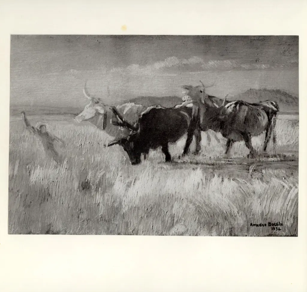 Anonimo , Bocchi, Amedeo - sec. XX - Bovi al tramonto , fronte