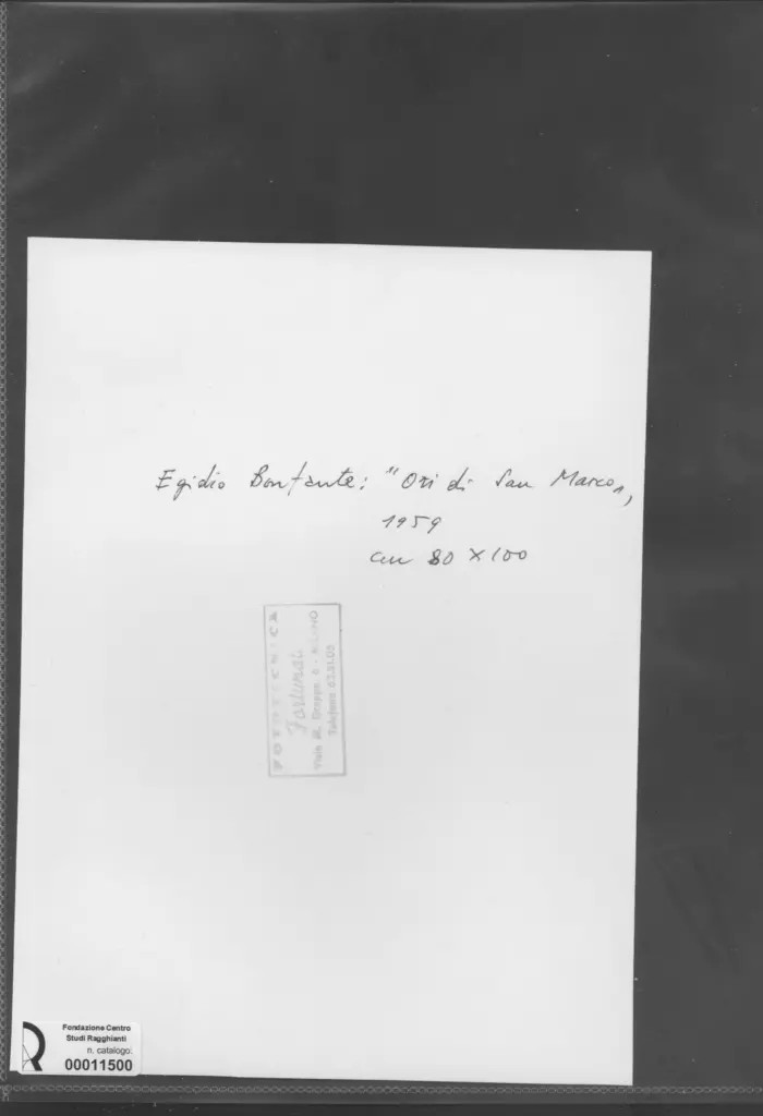 Fototecnica Fortunati , retro