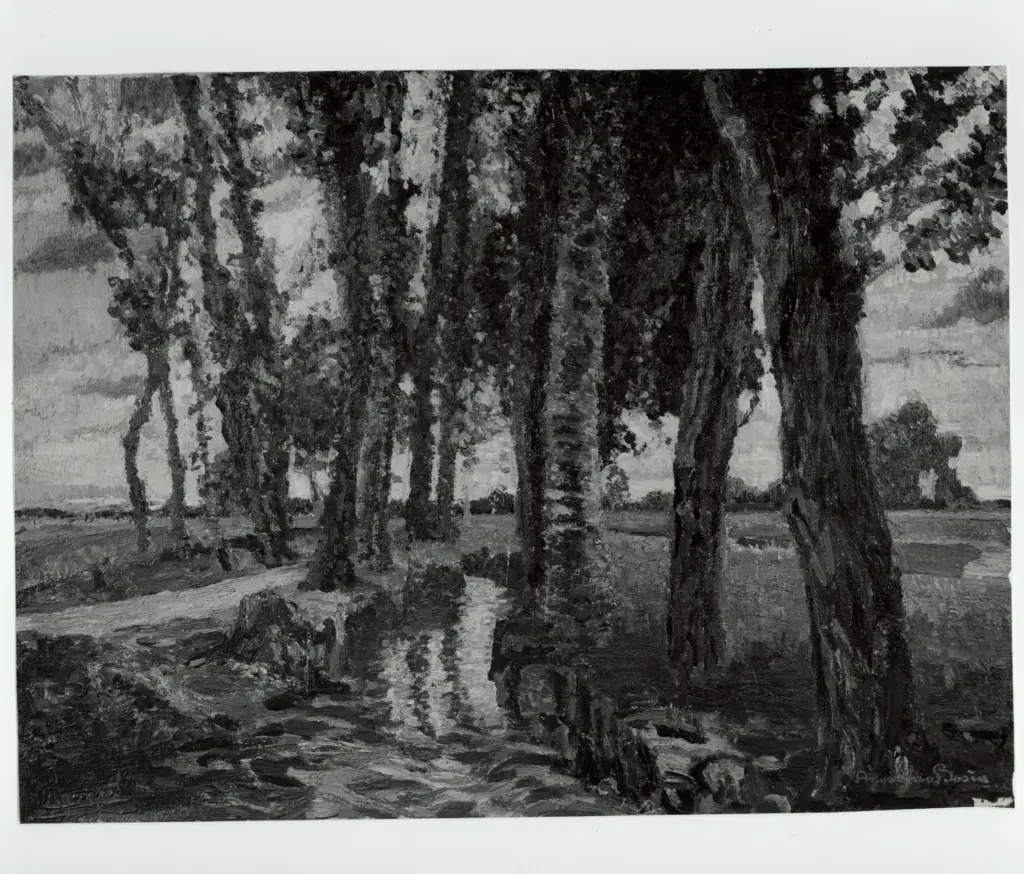 Anonimo , Bosia, Agostino - sec. XX - Paesaggio , fronte