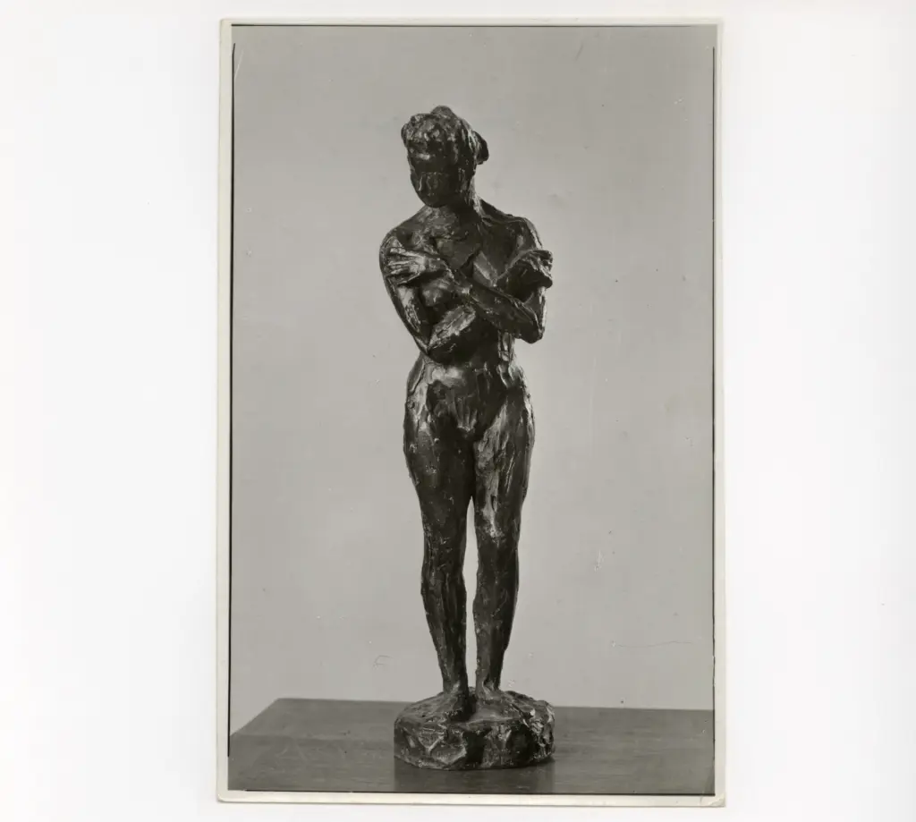 Anonimo, Anonimo , fronte