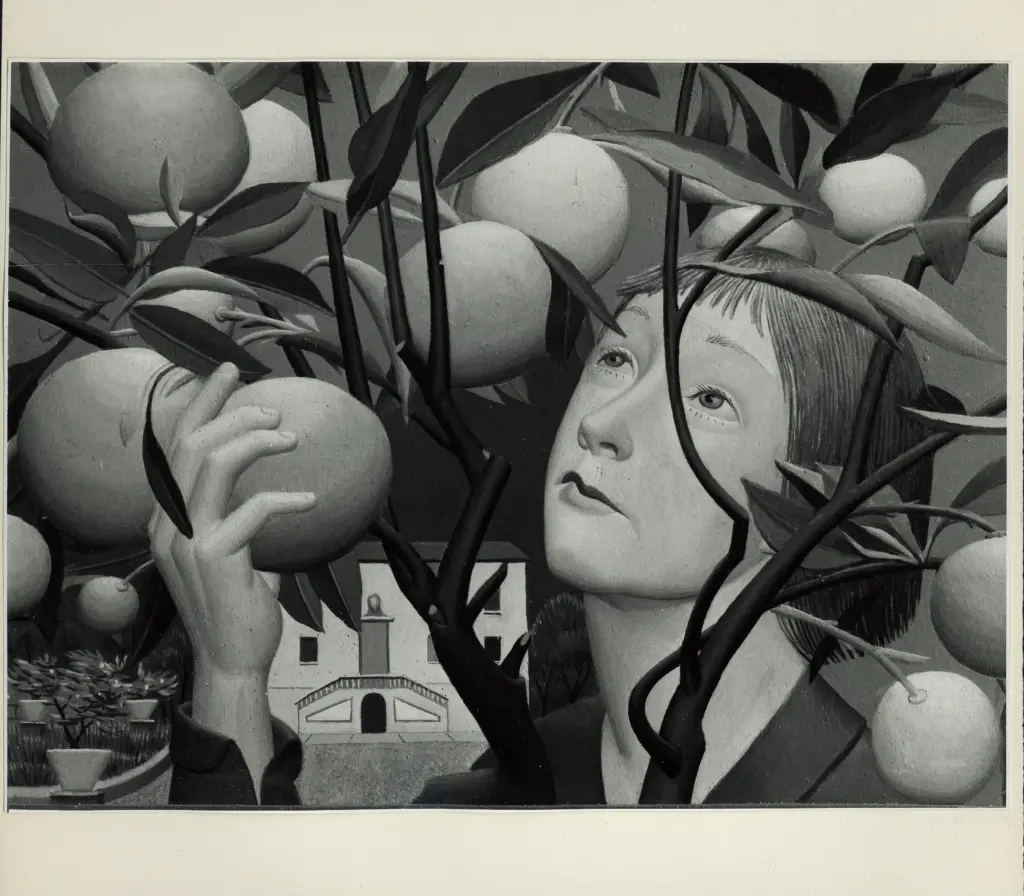 Anonimo, Anonimo , fronte