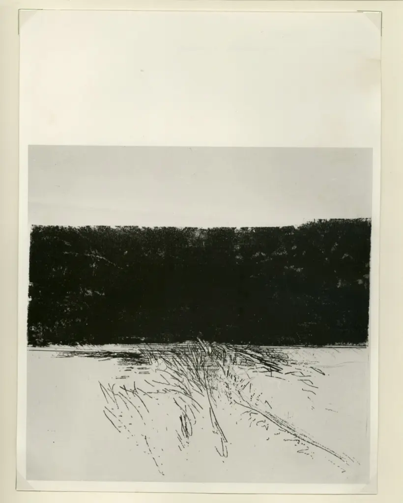 Bruscaglia, Renato , Palude