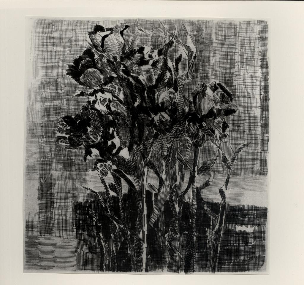 Giacomelli , fronte