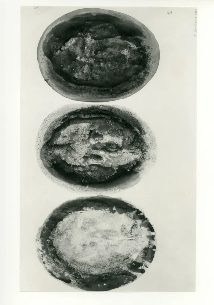 Bueno, Antonio , Tre impronte