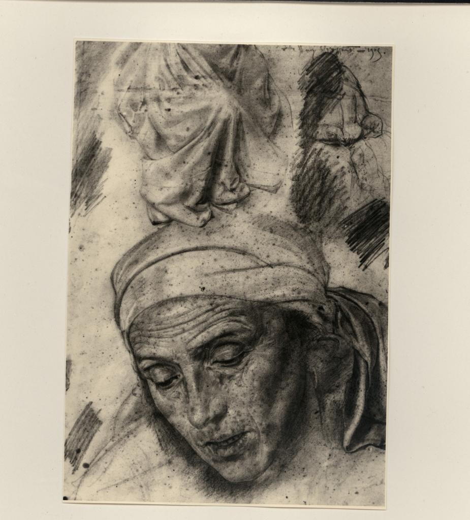 fronte