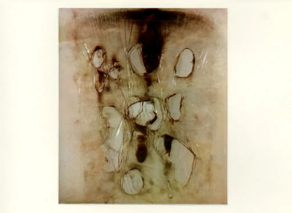 Anonimo , Burri, Alberto - sec. XX - Bianco plastico , fronte