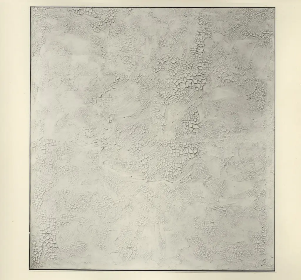 Fotografia Ferruzzi , fronte