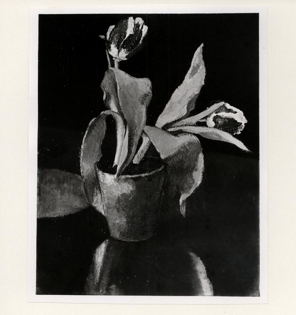 Giacomelli , fronte