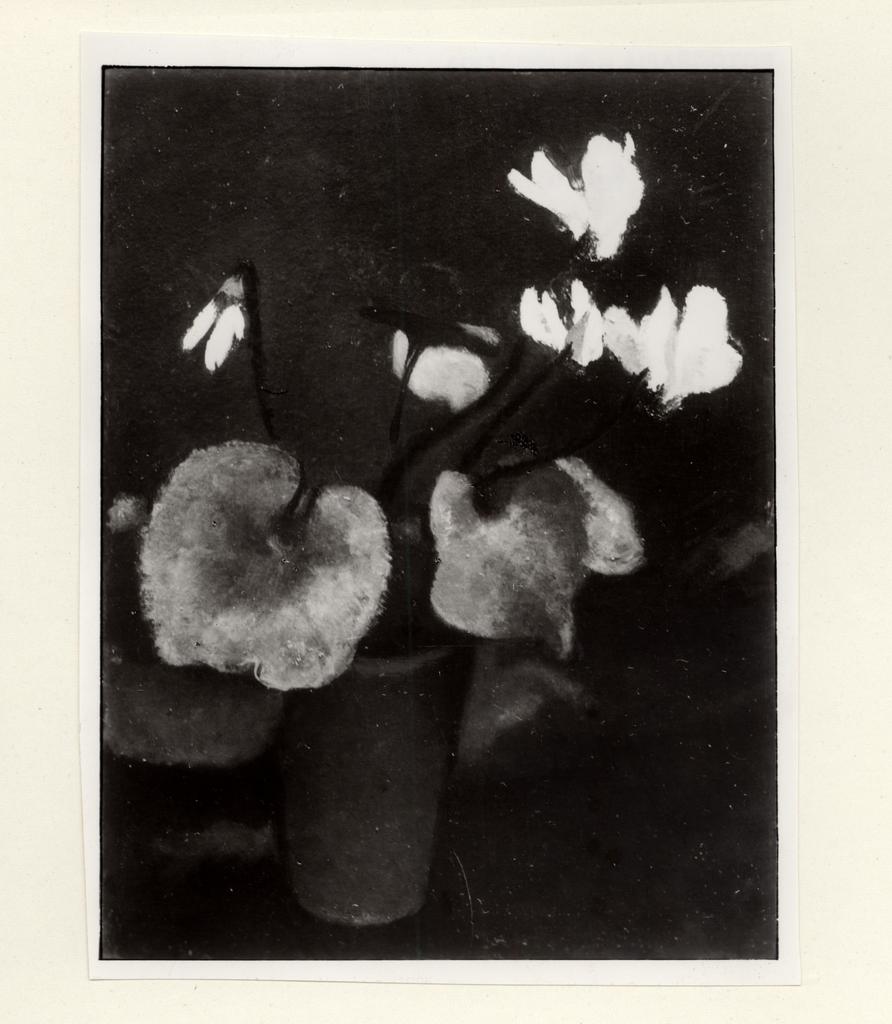 Giacomelli , fronte