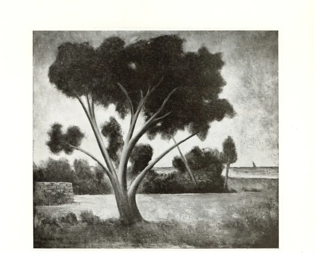 Anonimo , Carr&agrave;, Carlo - sec. XX - Il leccio a Forte dei Marmi , fronte