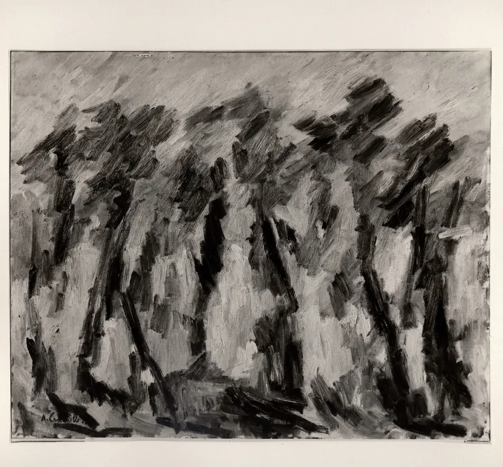 Foto Star , Cassanello, Angiola - sec. XX - Marina , fronte