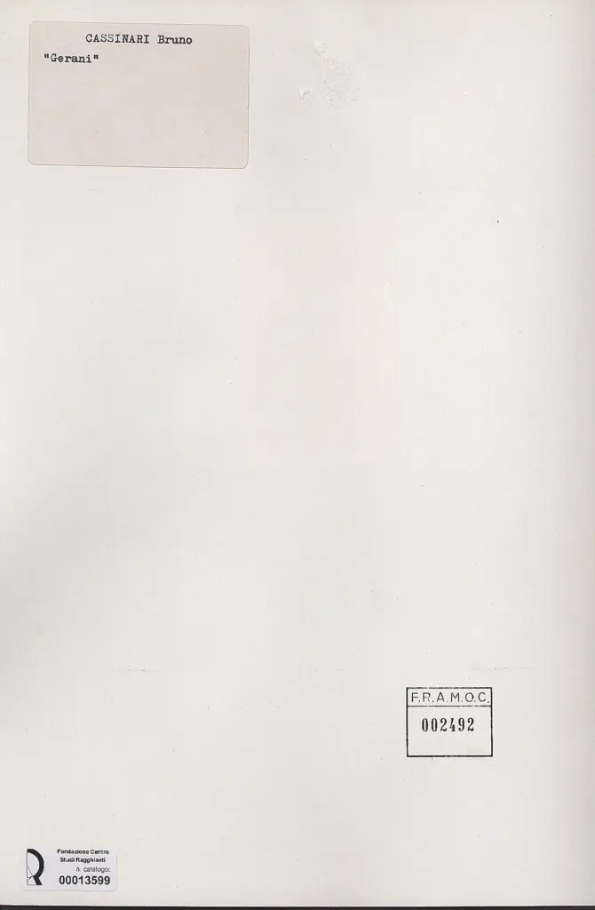 Anonimo, Anonimo , retro