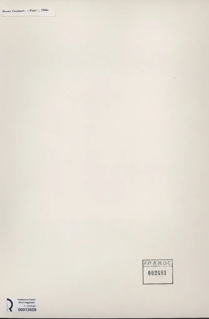 Anonimo, Anonimo , retro