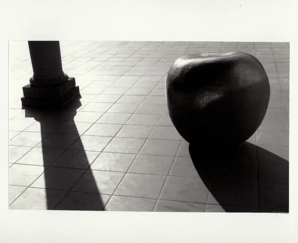 Anonimo , Castagna, Pino - sec. XX - Sasso , fronte