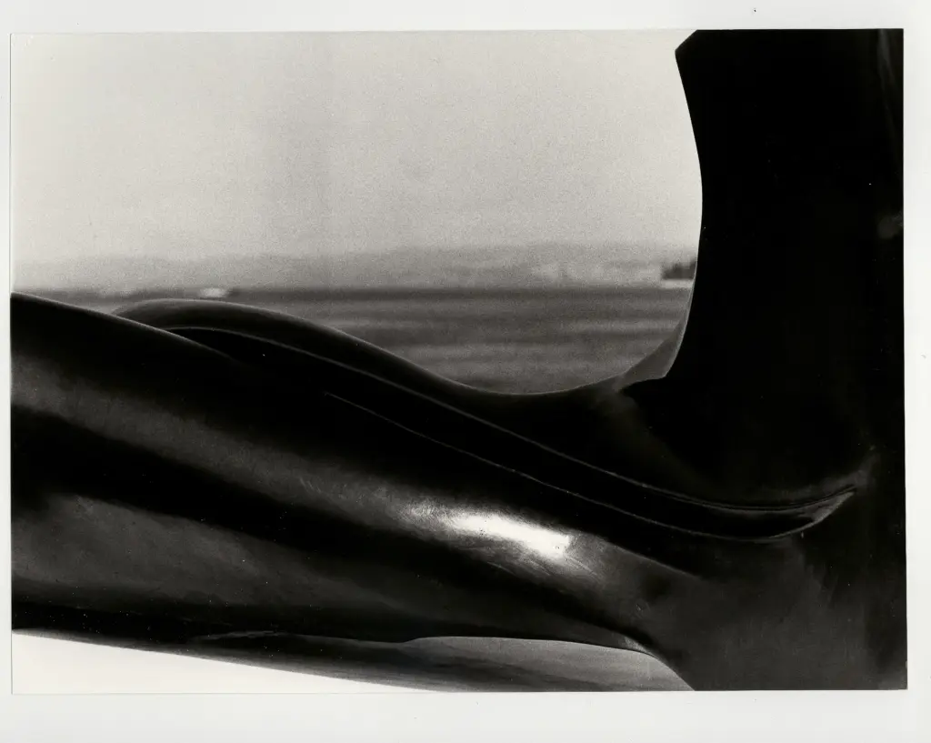 Anonimo, Anonimo , fronte