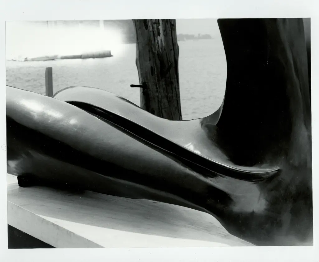 Anonimo, Anonimo , fronte