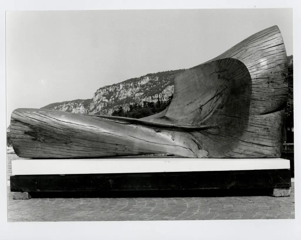 Castagna, Pino , Nudo -