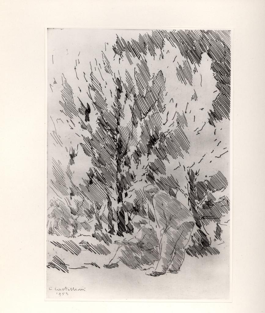 Giacomelli , Castellani, Leonardo - sec. XX - In pieno sole , fronte
