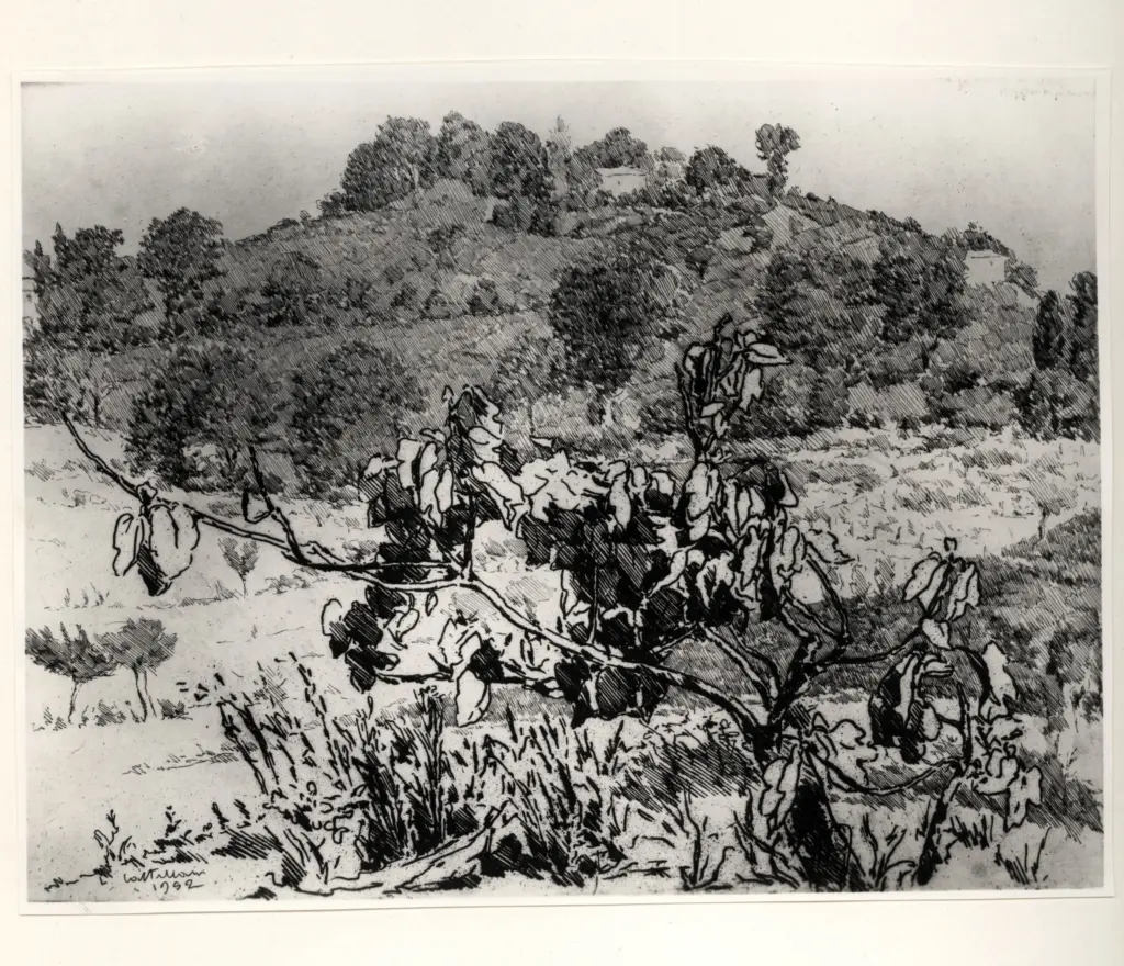 Giacomelli , Castellani, Leonardo - sec. XX - La pianticina di fico , fronte