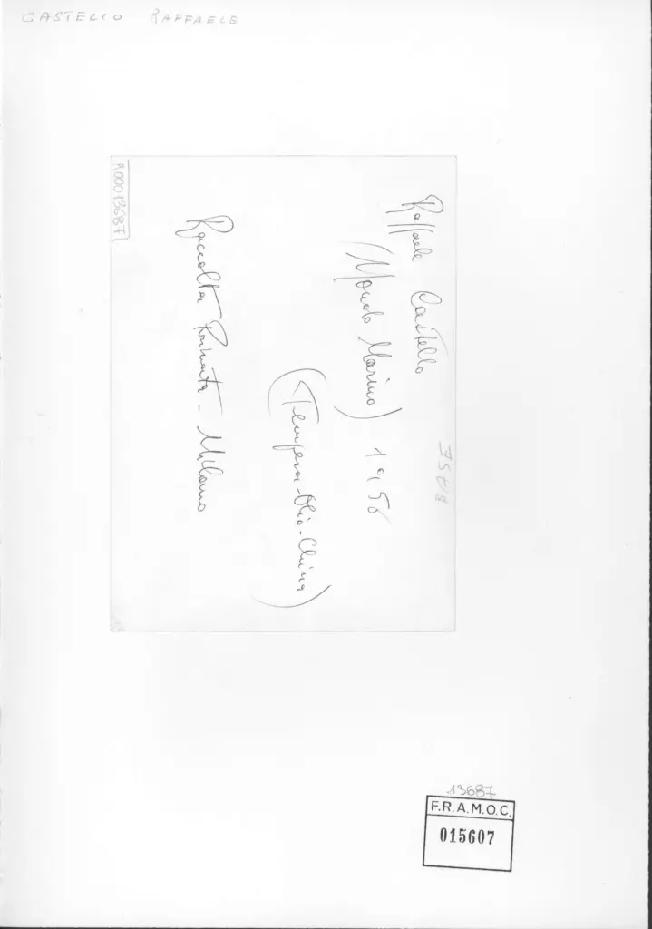 Anonimo , Castello, Raffaele - sec. XX -Mondo marino , retro