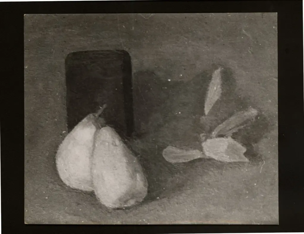 Anonimo, Anonimo , fronte