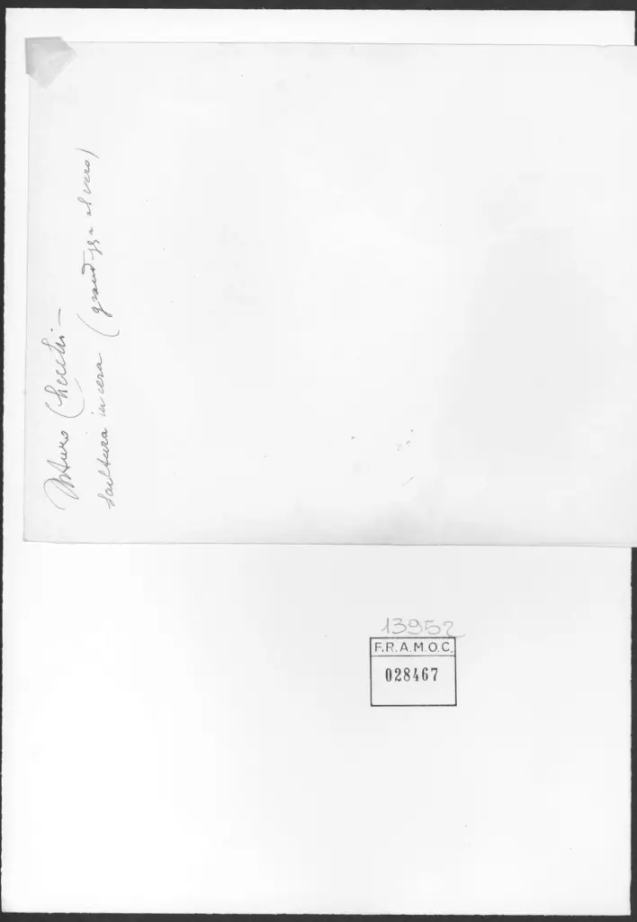 Checchi, Arturo - - , retro