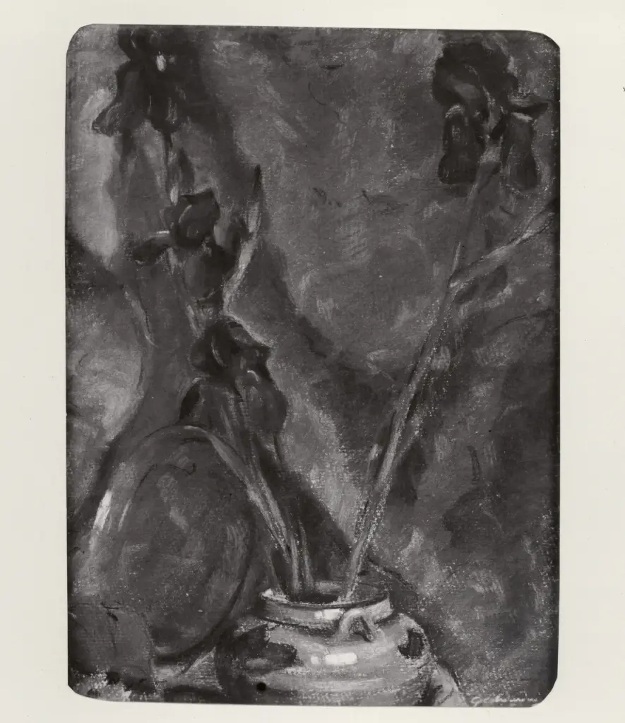 Anonimo, Anonimo , fronte