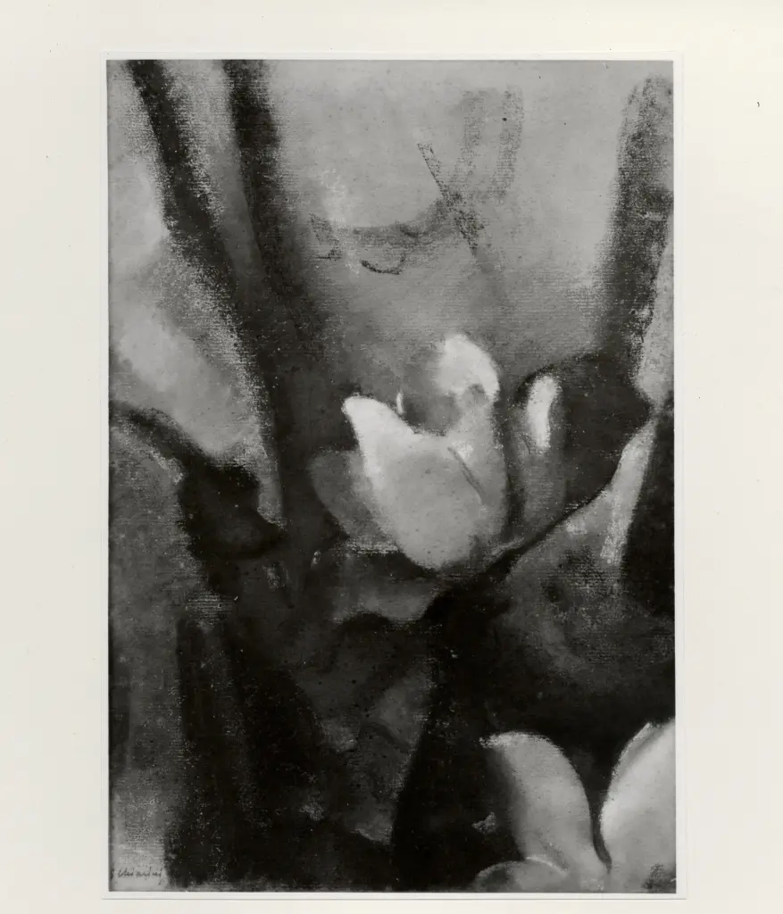 Anonimo, Anonimo , fronte